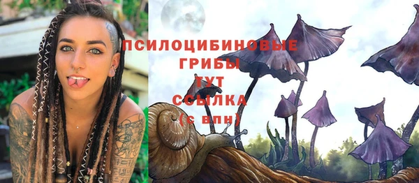 экстази Белокуриха