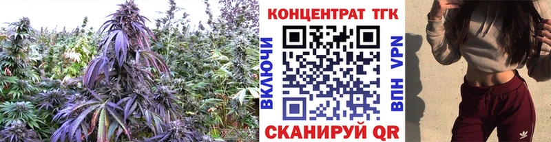shop наркотические препараты  продажа наркотиков  Елабуга  ТГК гашишное масло  KRAKEN  