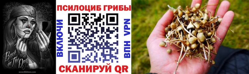 Галлюциногенные грибы мухоморы  ОМГ ОМГ зеркало  Елабуга 